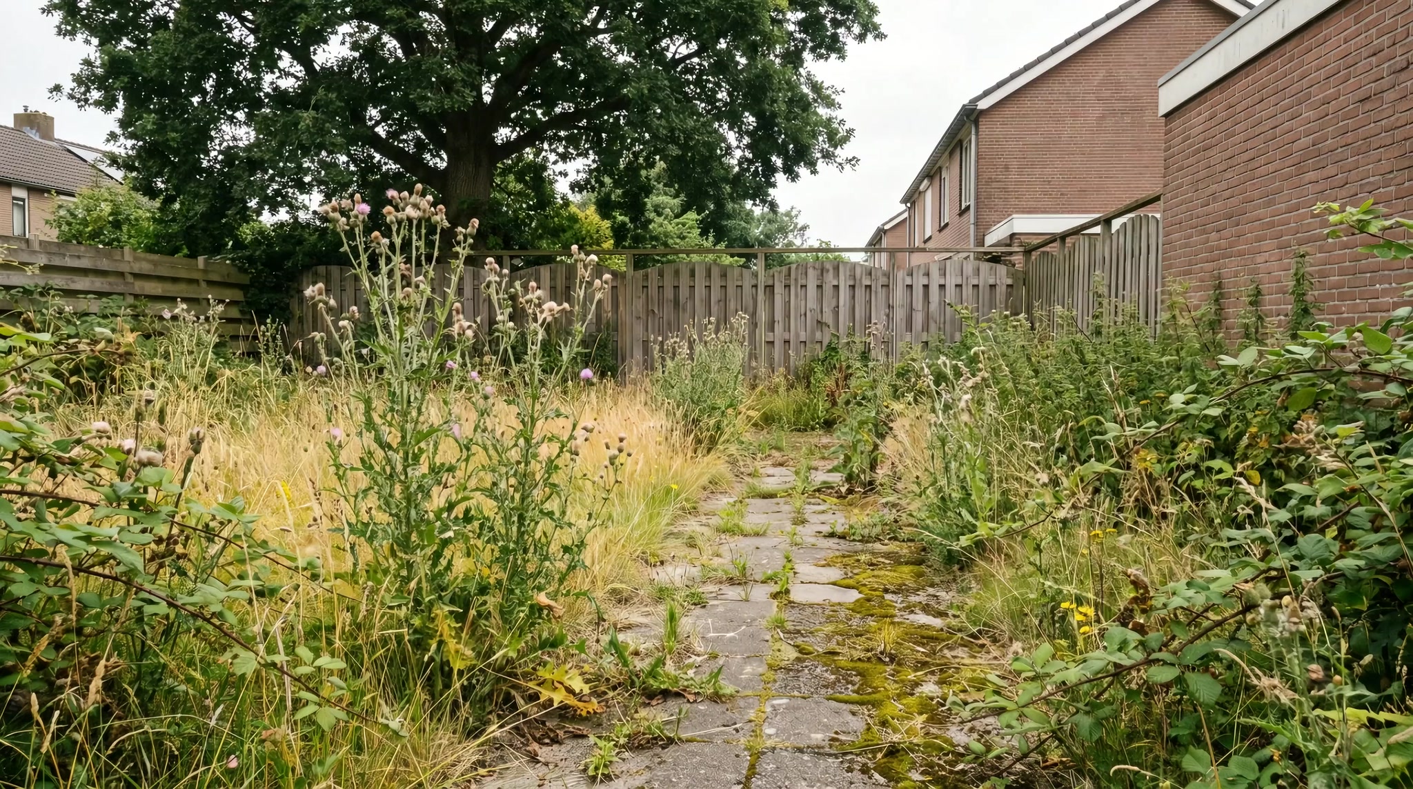The garden before work begins — overgrown and uneven